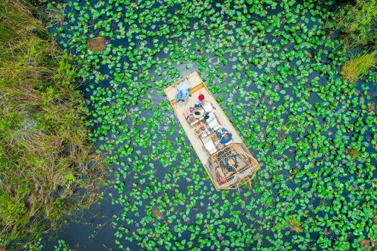 1 hr Private Airboat Everglades Tour near Miami