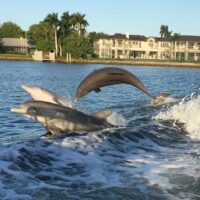 Holiday & Seasonal Tours