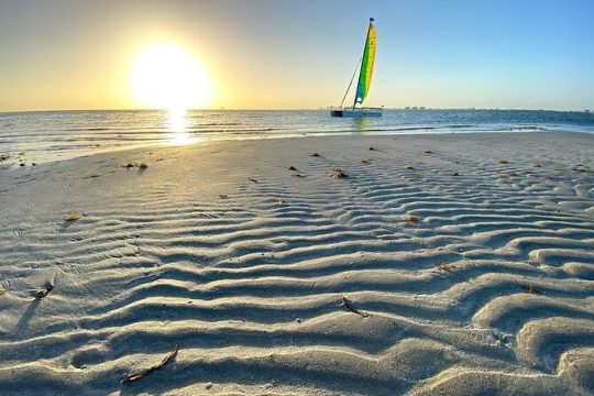 Half-Day Private Guided Sailing Adventure of Miami's Biscayne Bay