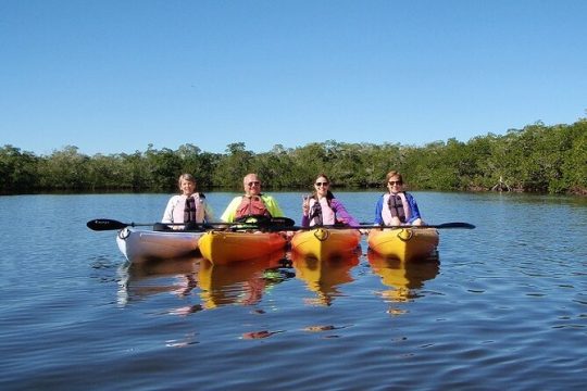 1 Hour Guided SUP/Kayak Tour in Pelican Bay at Fort Myers Beach