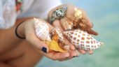 Unforgettable experience with Florida Adventures and Rentals in Marco Island!