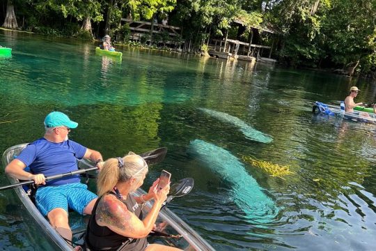 Silver Springs Clear Kayaking Tours & Wildlife Adventure