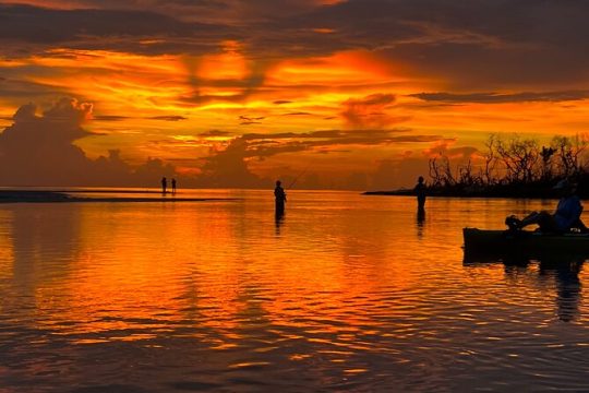 Naples Guided Sunset Kayak Tour Activity