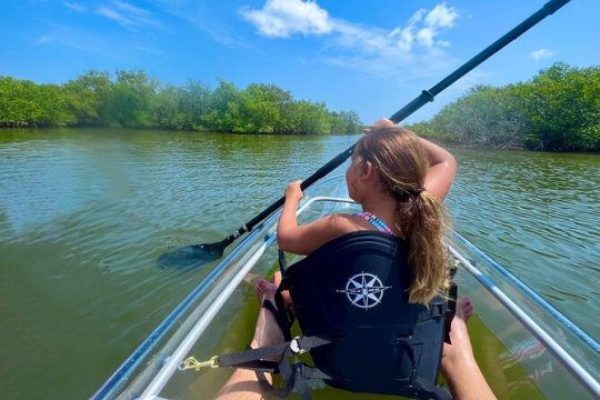 Get Up And Go Kayaking - New Smyrna Beach
