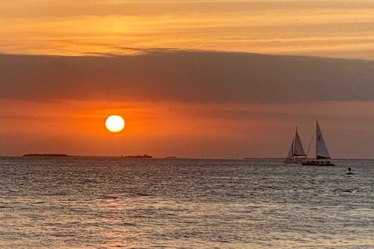 Ft. Lauderdale to Key West Bus Tour w/ 6 hours of free time in KW
