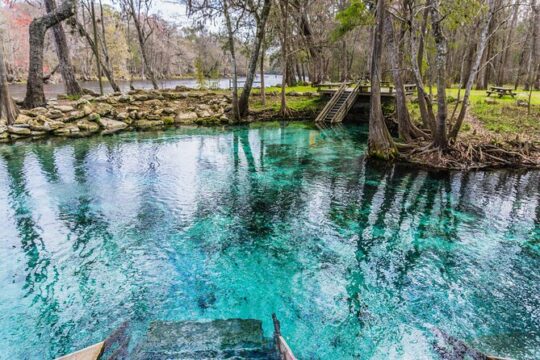 St. Johns River Nature Cruise at Blue Spring State Park