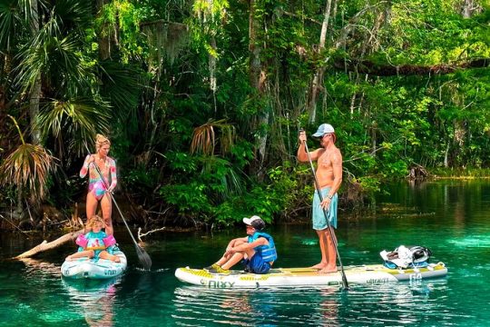 Silver Springs Paddle Board Adventure