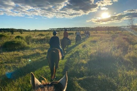 Horseback Ride on Scenic Lake Louisa Trails