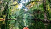 Dora canal