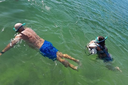 Miami Snorkeling for Beginners from Bayside Market Place