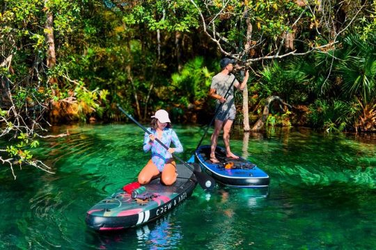 Rainbow Springs Paddle Board Adventure