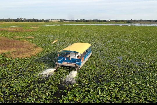 90 Minute Pontoon Cruise in Florida