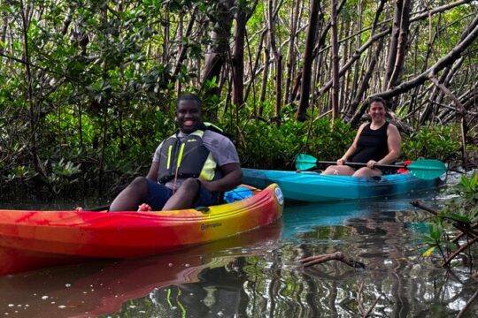 Naples Kayak Rentals, Self Guided Eco Experience