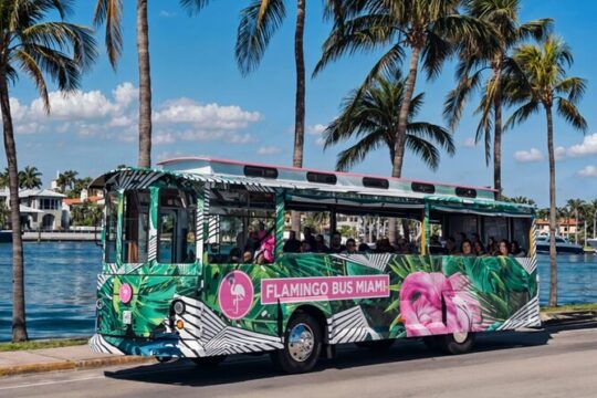 Flamingo Bus Miami Tour