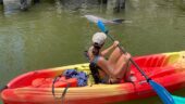 Comfortable kayaks, friendly staff, laid-back, interesting kayak excusion