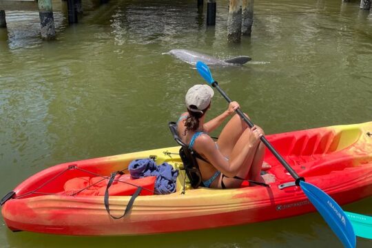 Guided Eco Island Activity: Kayak/Sup Manatees and Dolphins