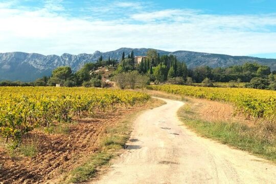 Well-being Day in Authentic Provence: Nature, Yoga, Picnic & Wine