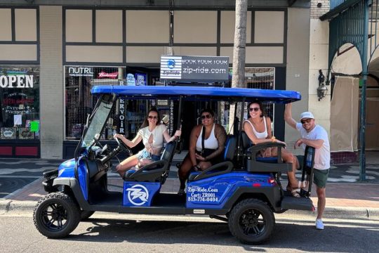 Tampa's Top Dive Bar Tour Experience by Golf Cart