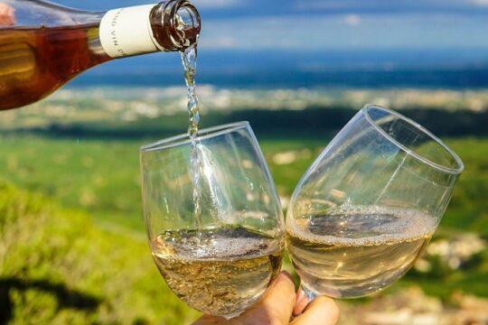 Half day: Wine-Tour in Provence