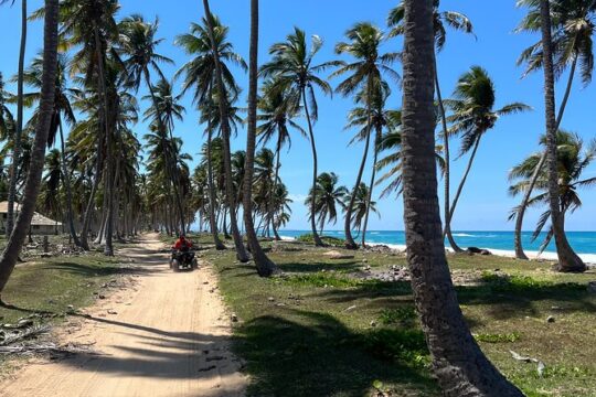 Full Day Safari Experience and Buggies from Punta Cana