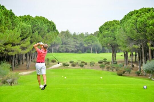 Active 1 Hour Private Professional Golf Tour in Streamsong