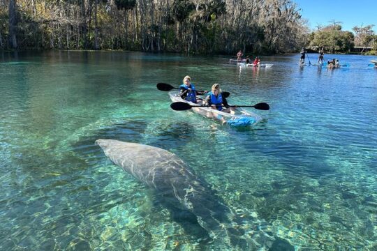 Silver Springs Self Guided Clear Kayak Rentals