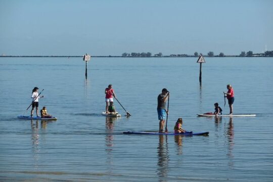 Paddle Board Rental around Harbour Island