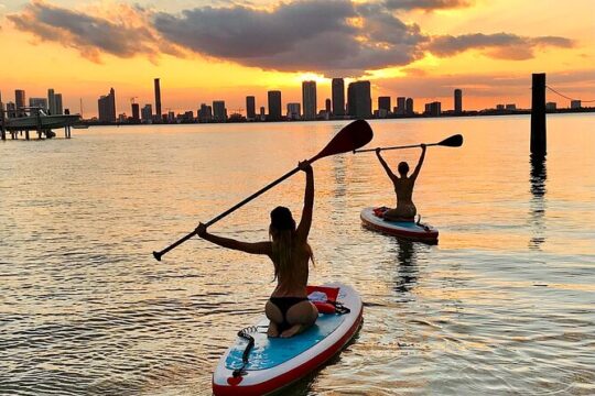 MORNING TOUR PaddleBoard or kayak