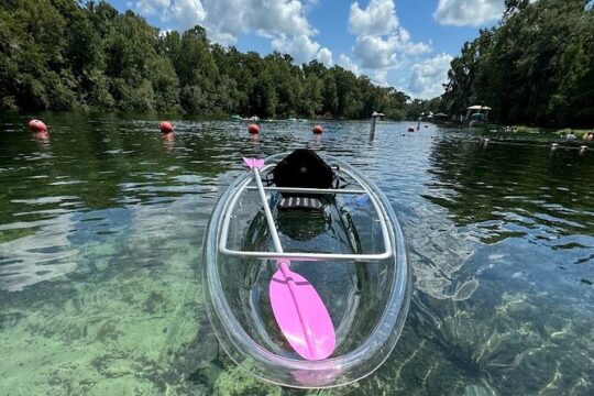 Private Crystal Clear 2 HR Kayak/Paddle Rental - Florida Springs