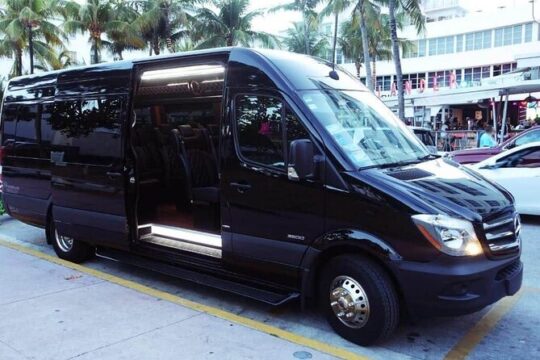 Miami City Tour From Port of Miami & Miami International Airport