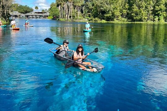 Clear Kayaking Wildlife Tour at Silver Springs