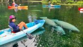 Beautiful clear water and...