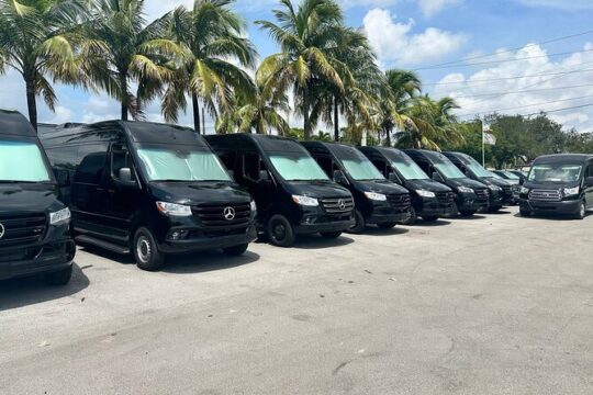 Miami Private Transfer to the Cruise Port