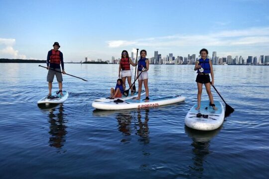 Miami Kayak and Paddleboard Rentals in Virginia Key