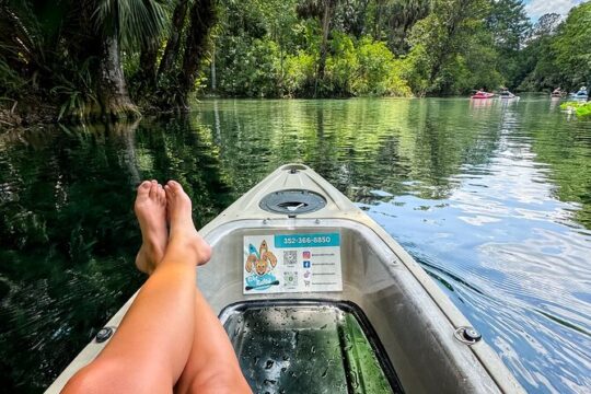 Glass Bottom Kayak Silver Springs - Full River Tour