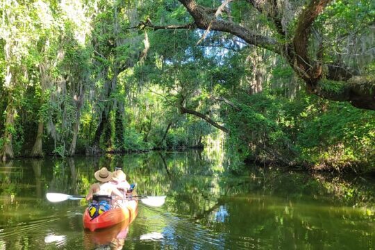 Half-Day Tandem Kayak Rental for Two in the Scenic Dora Canal