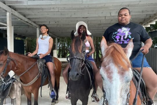 Horseback Experience in Miami