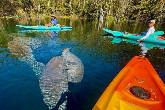 Silver Springs Real Florida Wildlife Experience