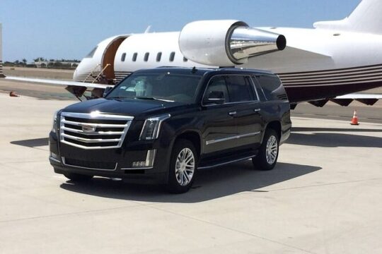 Private Transfer from Cruise Port of Miami to Miami Airport (MIA)