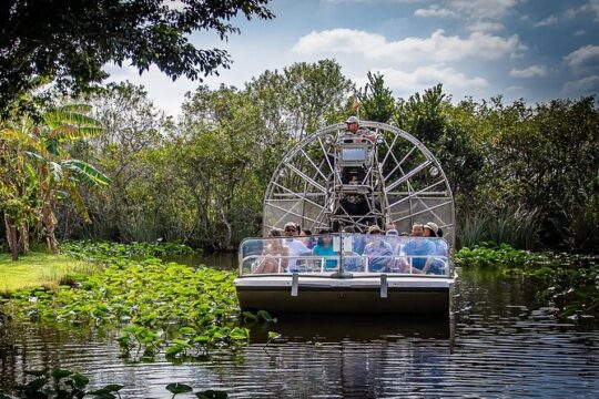 Everglades Alligator Airboat Adventure in Miami