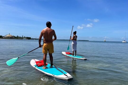 Miami Biscayne Bay Paddle