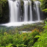 Shore Excursions