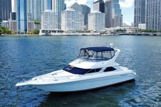 Fifty Yacht Searay Charter