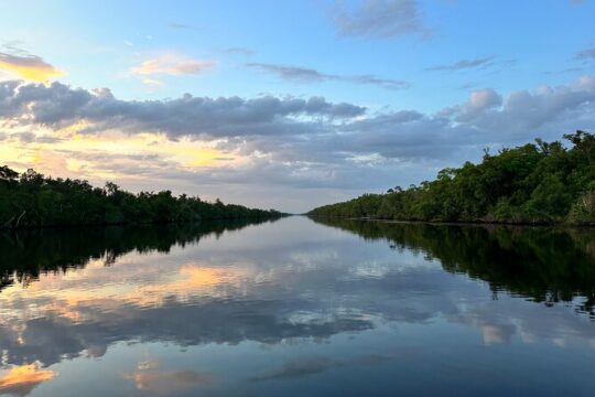 Mangrove and Gulf Excursion Tour