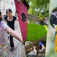 Zoo Tickets & Passes