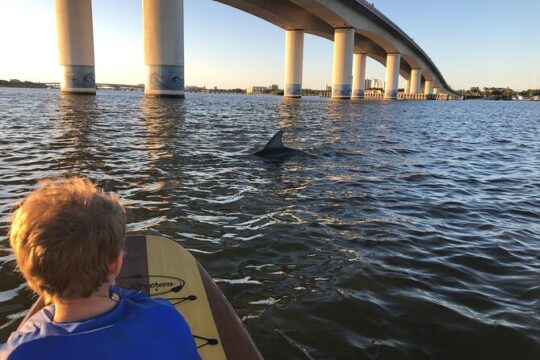 Paddle Board Rental