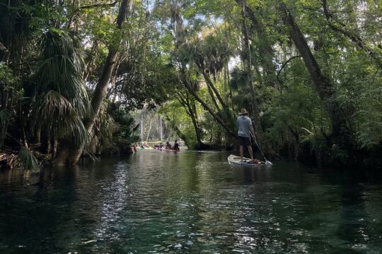 Guided Clear Kayak Tours on the Silver River