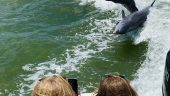 Marco Island Dolphin Tour