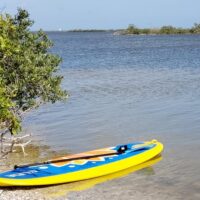 Holiday & Seasonal Tours