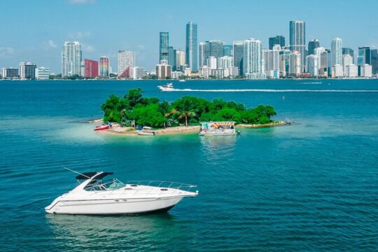City Vibes & Bay Rides